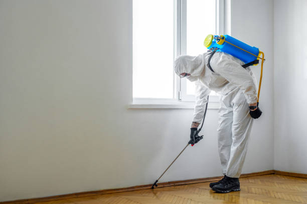 Indoor Pest Control in Kenilworth, NJ